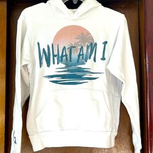 Why Don’t Limited Edition What Am I hoodie 8/12
